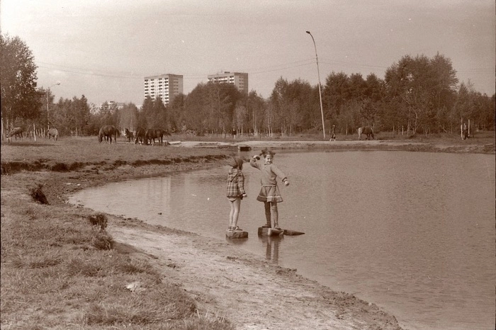 Утверждена концепция благоустройства парка имени 50-летия ВЛКСМ на Ясной