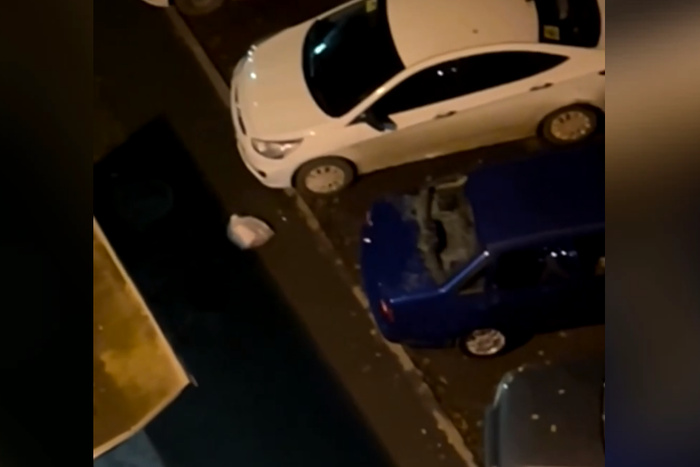 В Екатеринбурге женщина выкинула мусор из окна и разбила чужую машину