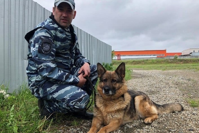 Двух пропавших детей, проведших ночь в лесу, ищут в Байкалово