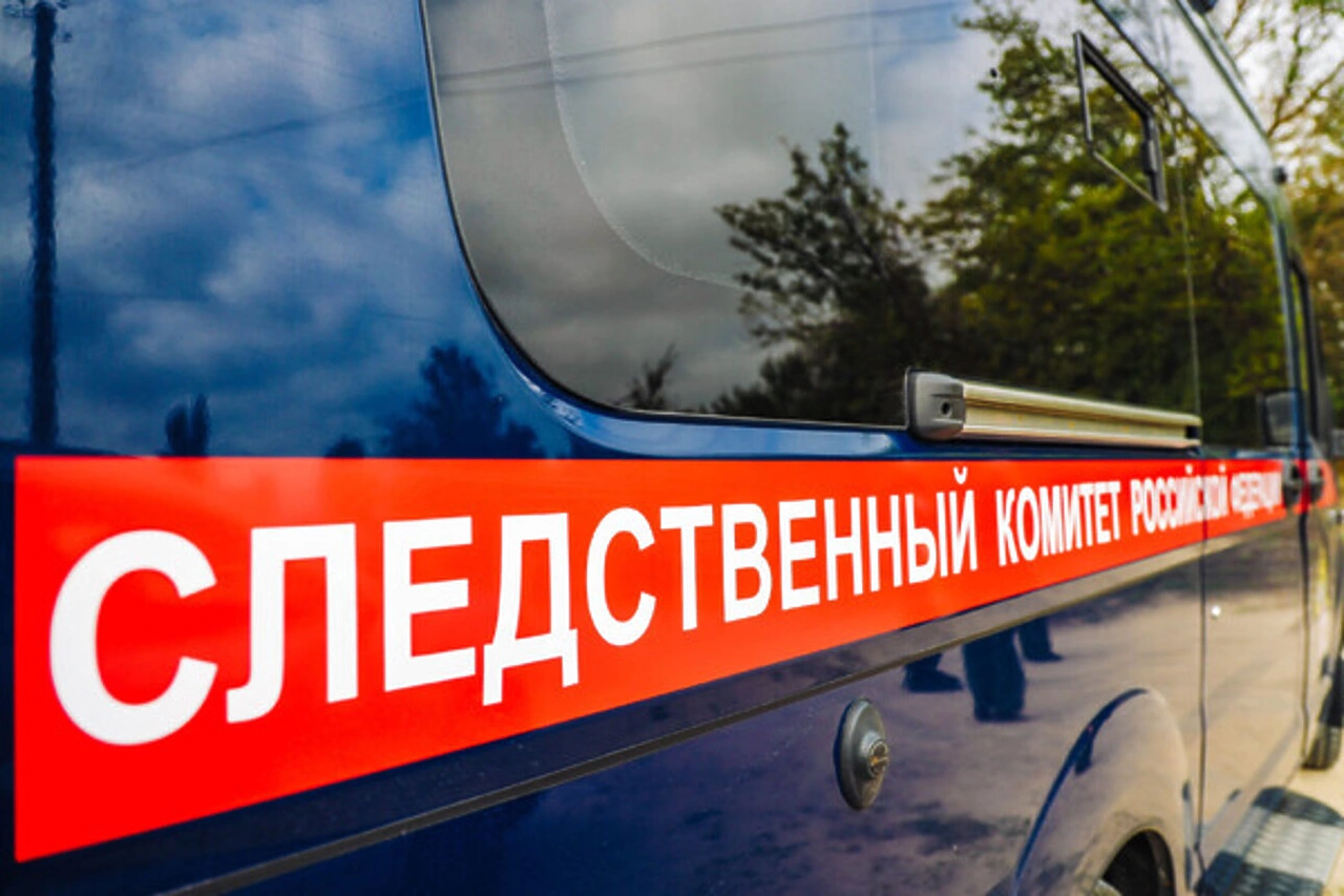 Двое подростков в Краснотурьинске зверски убили сверстницу