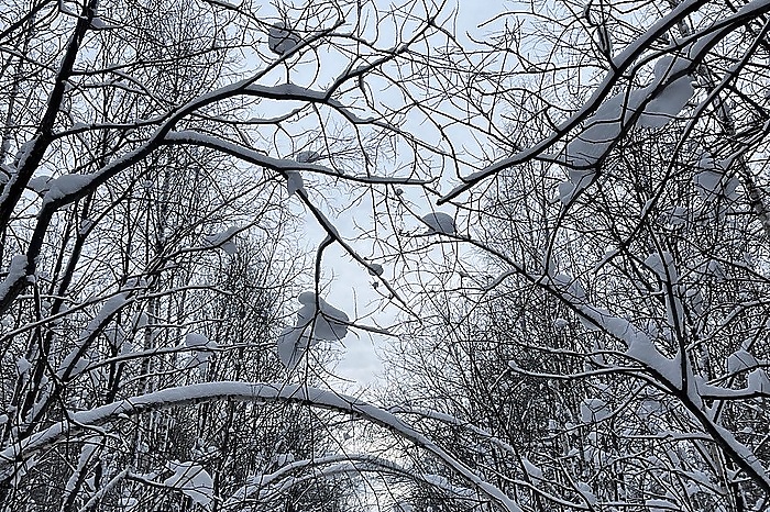 Синоптики предупредили о морозном начале марта в Екатеринбурге