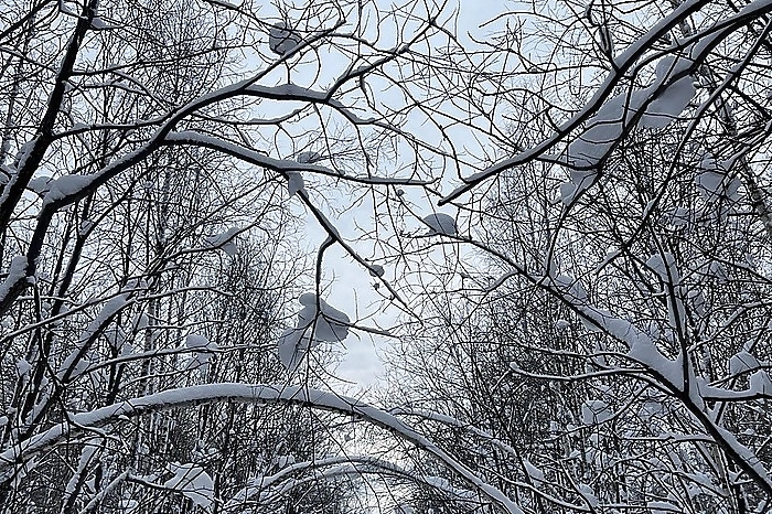 Синоптики предупредили о морозном начале марта в Екатеринбурге