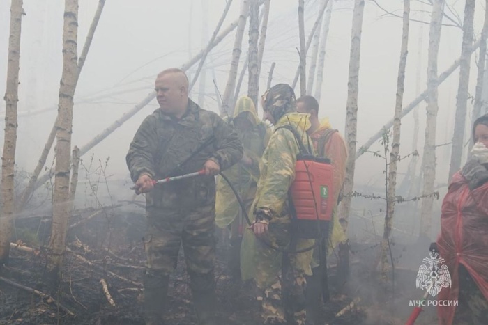 Спасатели рассказали, сколько ещё предстоит потушить пожаров в свердловских лесах