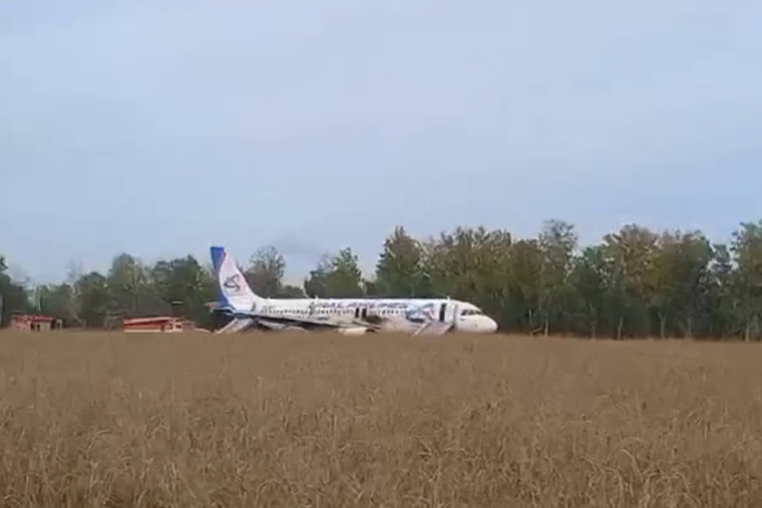 СМИ: Посадку А320 «Уральских авиалиний» в пшеничном поле будут расследовать заново