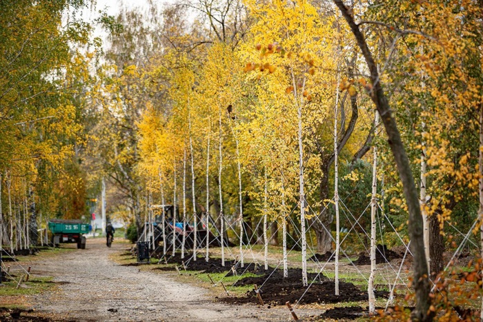 В Екатеринбурге восемь парков получат статус особо охраняемых природных территорий