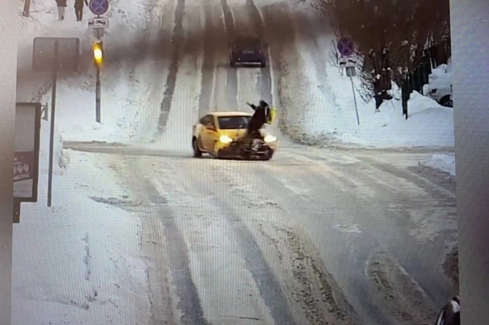 «У меня плохие новости». Автоэксперт — о степени вины участников ДТП с погибшим велокурьером