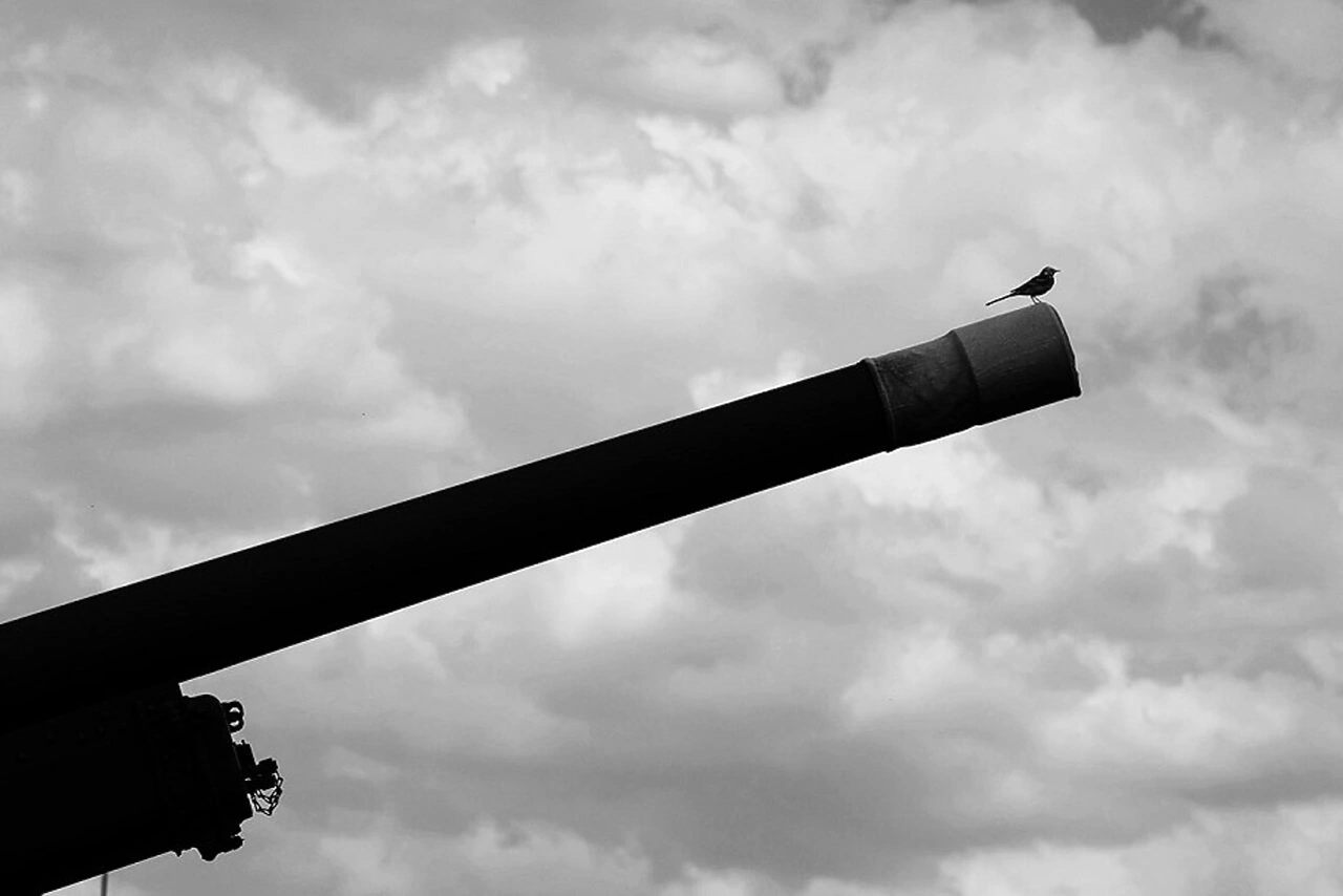 Россиян предупредили о штрафе за выбивание ковра во дворе