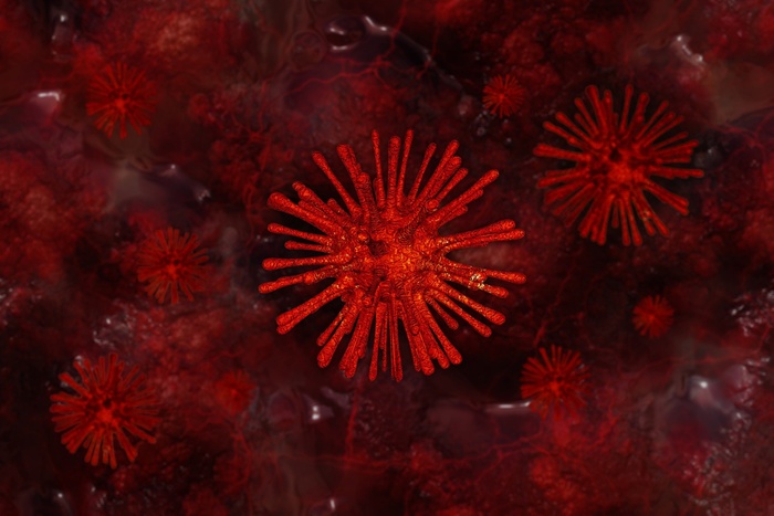 В России выявлен первый подтверждённый случай заражения коронавирусом из Китая