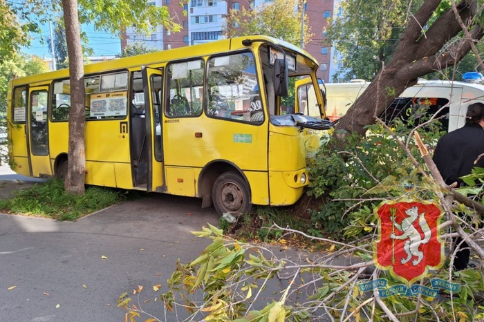 В ГИБДД рассказали, как маршрутка влетела в дерево на перекрёстке 8 Марта и Фурманова