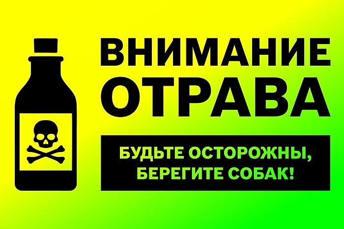 Догхантером на Эльмаше оказалась риелтор АН «Новосёл»