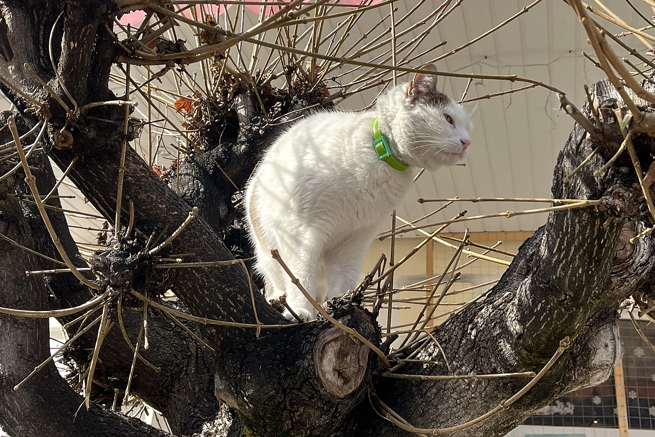 В Свердловской области потеплеет до +10 градусов