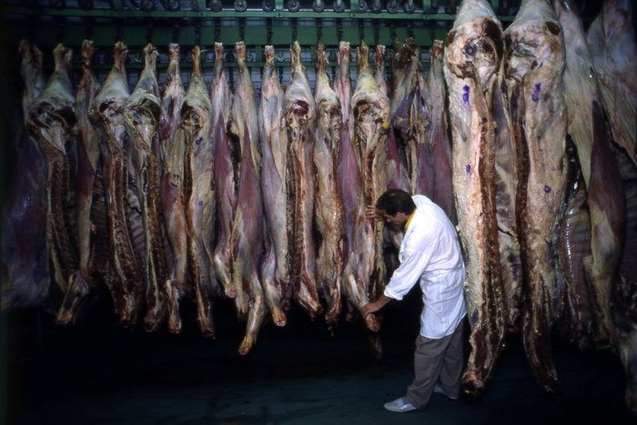 На Урале сожгли 1,5 тонны мяса