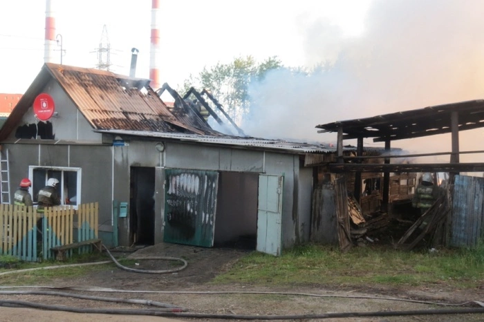 Собака спасла многодетную семью от гибели на пожаре