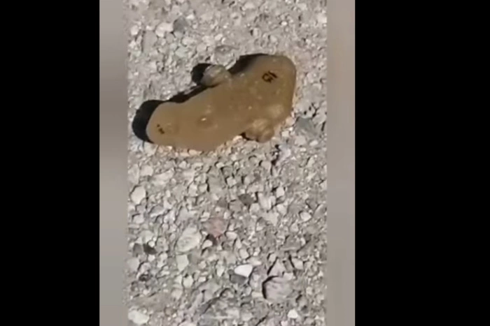 Российская журналистка погибла в Донецке, подорвавшись на мине