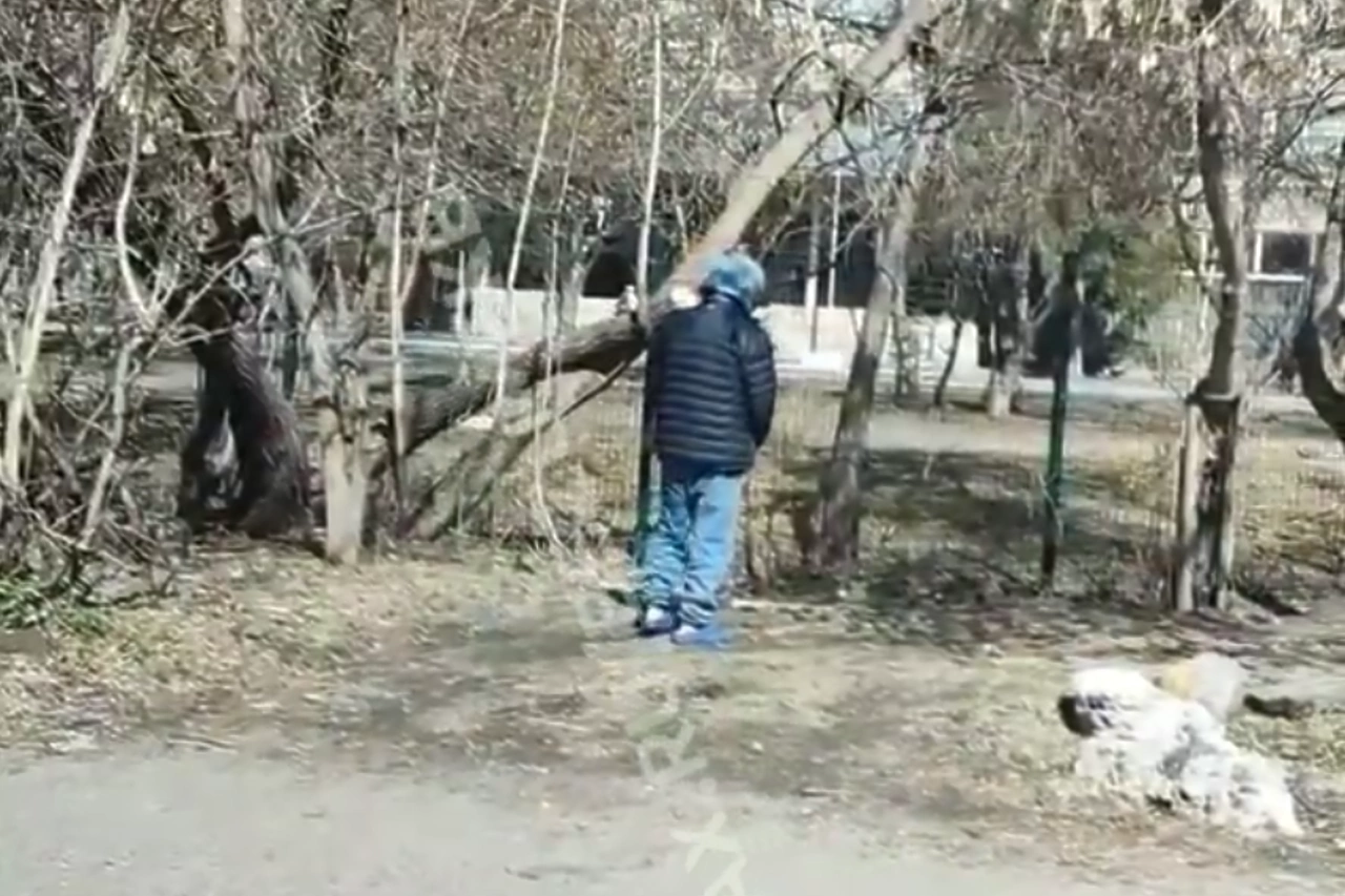 В Екатеринбурге возле начальной школы заметили пенсионера-извращенца
