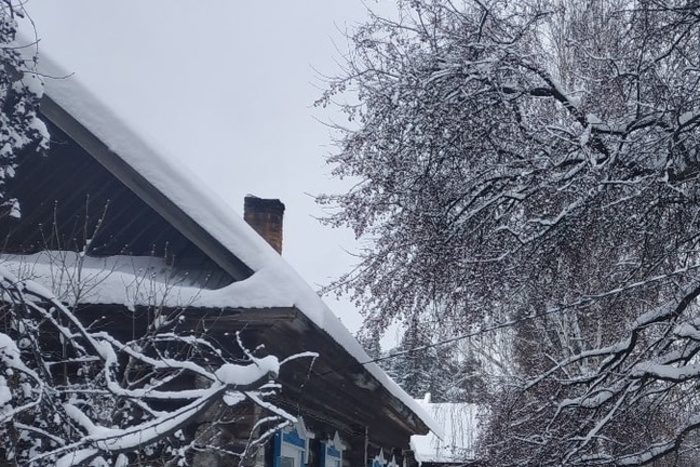 В Подмосковье под сошедшим с крыши снегом погиб 13-летний сын банкира