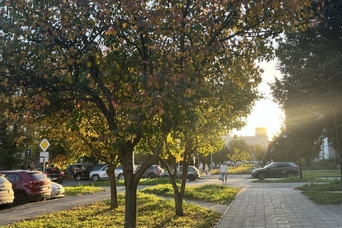 Синоптики рассказали, насколько жарким будет лето 2025-ого года в Екатеринбурге