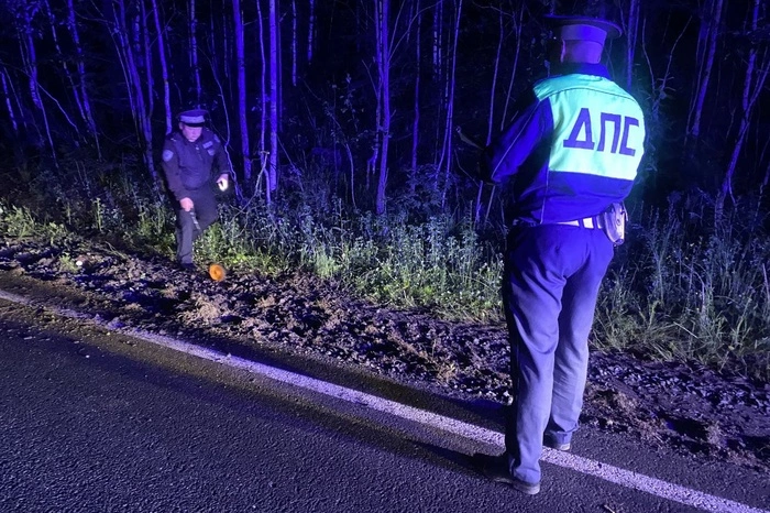 Водитель Ford погиб под Кировградом, вылетев из салона