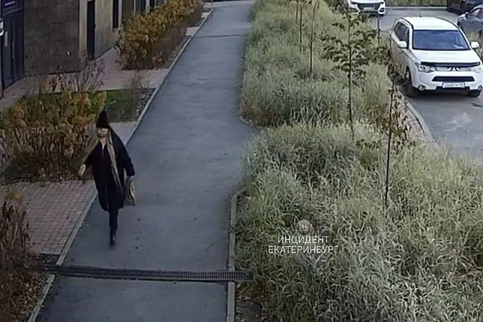 На Эльмаше возле ЖК «Изумрудный Бор» рассыпали собачью отраву