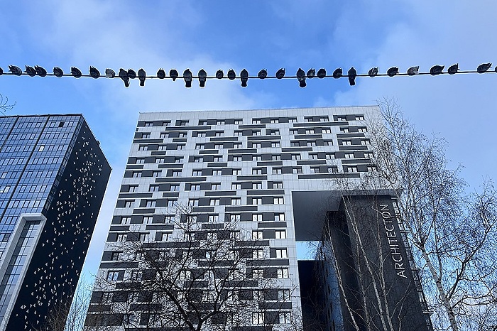 Синоптики рассказали, когда в Екатеринбурге потеплеет до +9 °С