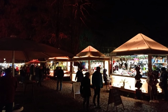 Немецкая таможня будет конфисковывать рождественские подарки из России