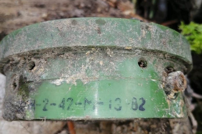 В Свердловской области рабочие нашли мину при ремонте дороги — фото