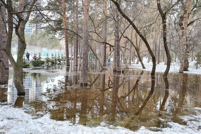 «Вода течёт куда угодно»: общественник пожаловался на ситуацию в Зелёной Роще