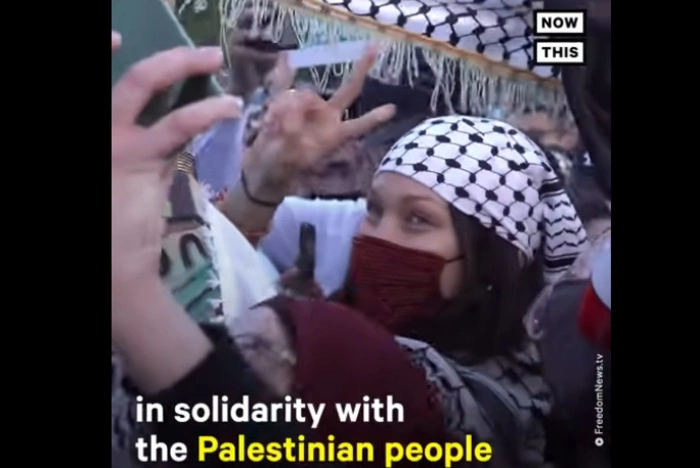 Dior «отменил» топ-модель из-за ее поддержки палестинцев