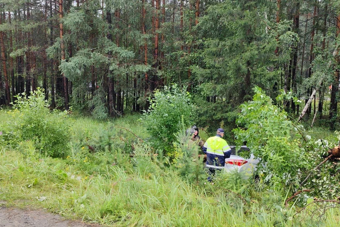 ВСМПО-Ависма рассказали о состоянии выжившей после ДТП сотрудницы