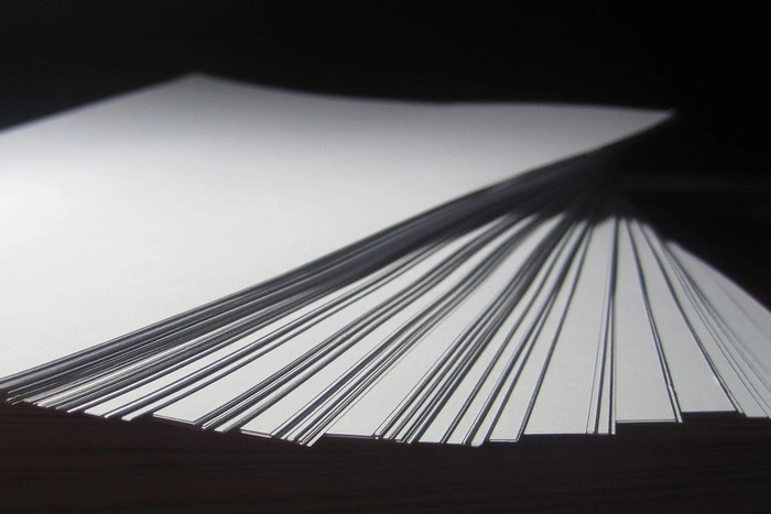 Бюджет первой цифровой переписи населения в 2020 году составит 33 млрд рублей