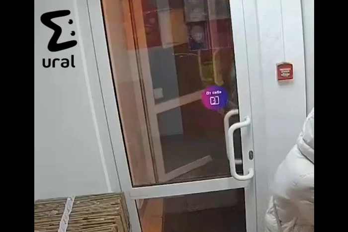 В Екатеринбурге пункте выдачи товаров Wildberries украли грязный коврик для ног