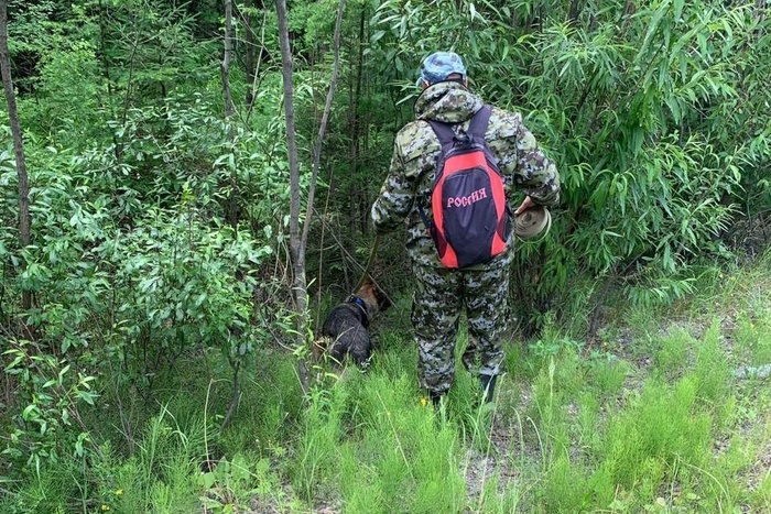 В Серове найдена мертвой женщина с провалами в памяти