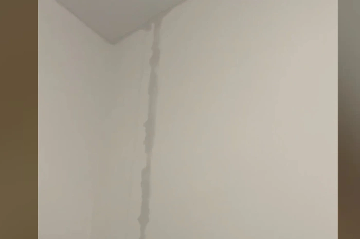 «Привет, плесень»: в Солнечном затопило новостройку