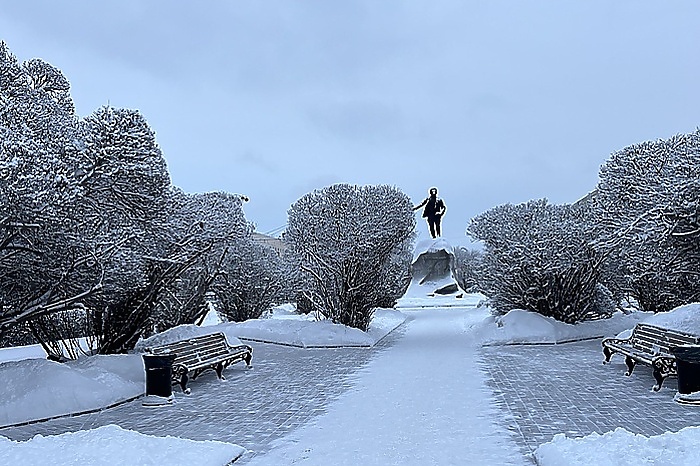 Из-за аномальных холодов екатеринбургские школьники остались дома