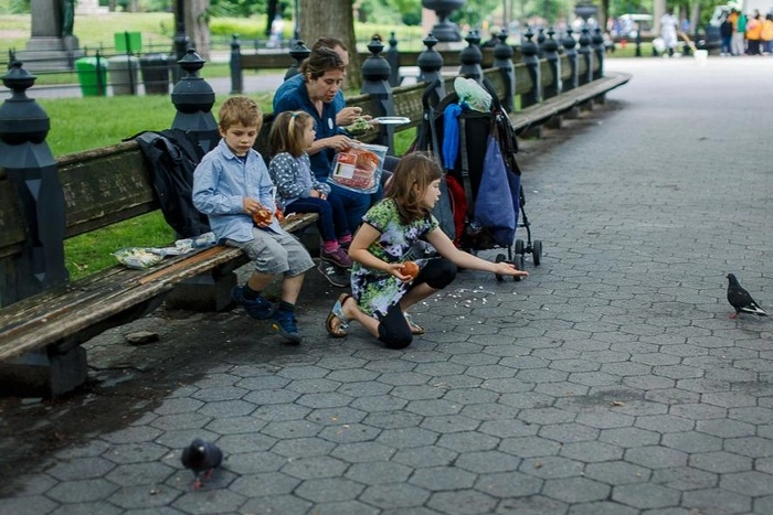 Подозреваемую в краже ноутбука Пелоси отпустили под залог