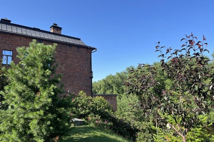 А как же тепло? Синоптики рассказали, какая погода будет в начале июля