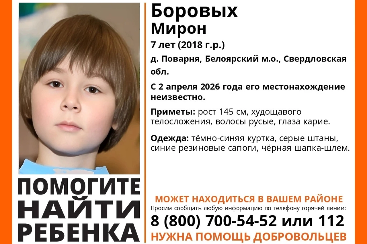 Под Екатеринбургом пропал 7-летний мальчик