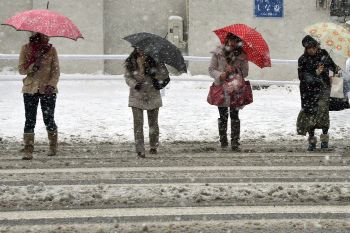 Два человека погибли в Японии из-за снегопадов