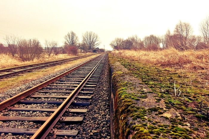 В Свердловской области поезд насмерть сбил 50-летнюю женщину