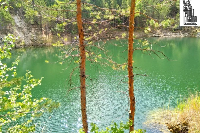 Жителей Екатеринбурга приглашают пробежаться по Бажовским местам