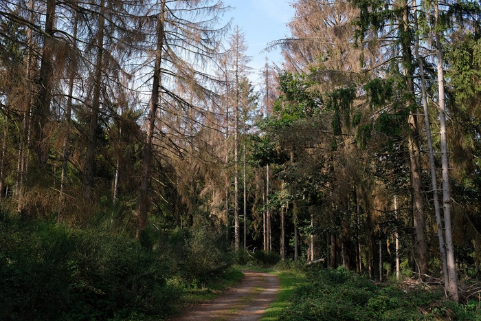 В Зеленой роще завершены работы по прокладке электрокабеля