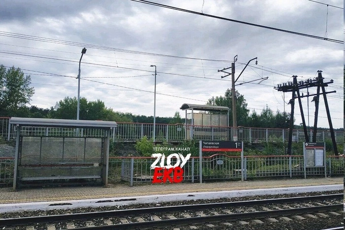 Установлена личность женщины, найденной в Екатеринбурге зарезанной