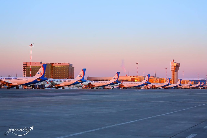 «Уральские авиалинии» возобновляют прямые рейсы в Дубай из Екатеринбурга