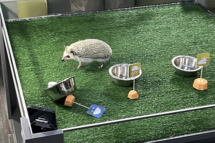 Необычный «синоптик» сообщил, какой будет весна в Свердловской области