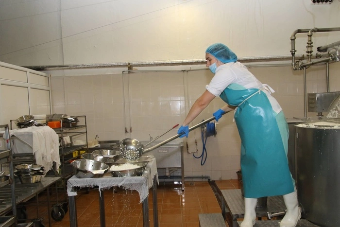 Посол Франции во время визита на УГМК-Агро похвалила сыры из козьего молока