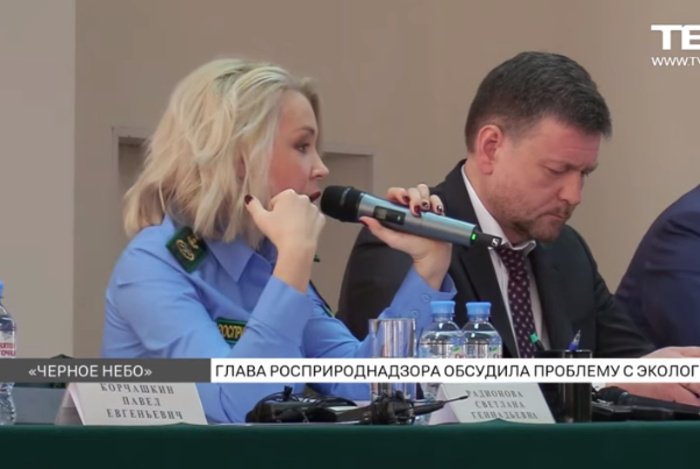 СМИ: Полная тезка главы Росприроднадзора летала в Норильск на бизнес-джете от «Норникеля»