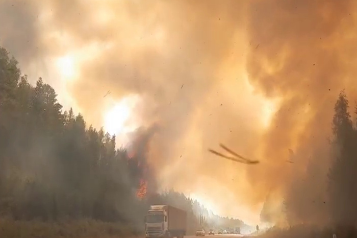 Свердловская область стала лидером в России по числу пожаров