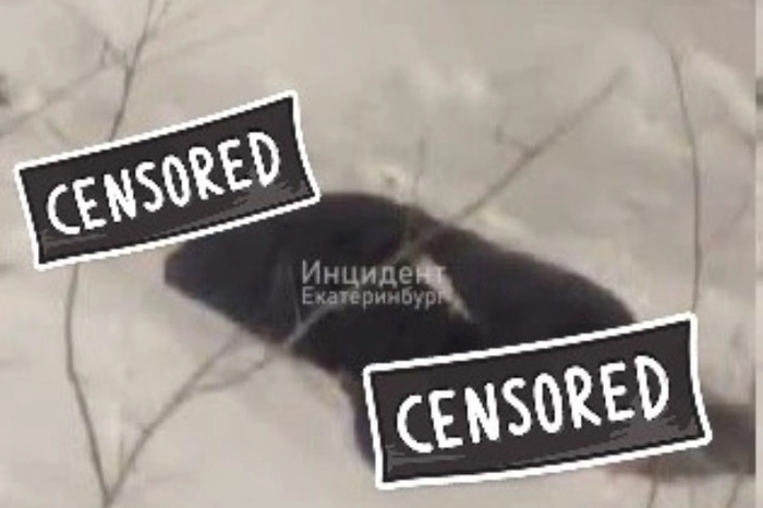 В Академическом нашли полураздетый труп