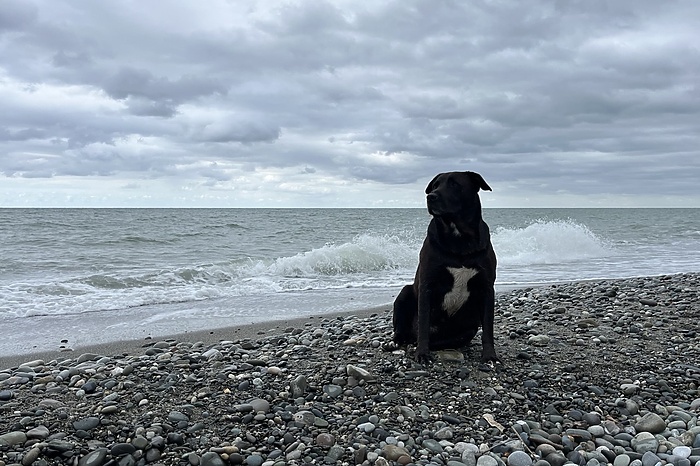 Россиянам блокируют переводы при попытке оплатить отпуск