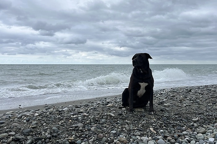 Россиянам блокируют переводы при попытке оплатить отпуск